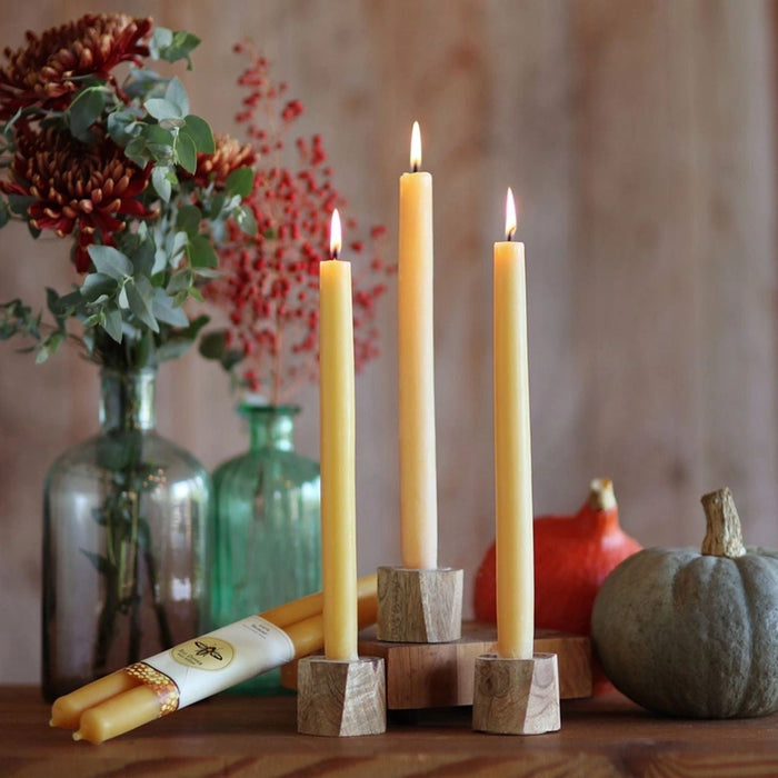 100% Pure Beeswax Tapers Pair in Moss - Potpourri Gift Shop