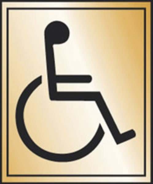 disabled toilet
