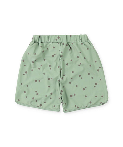 Dot Surf Shorts