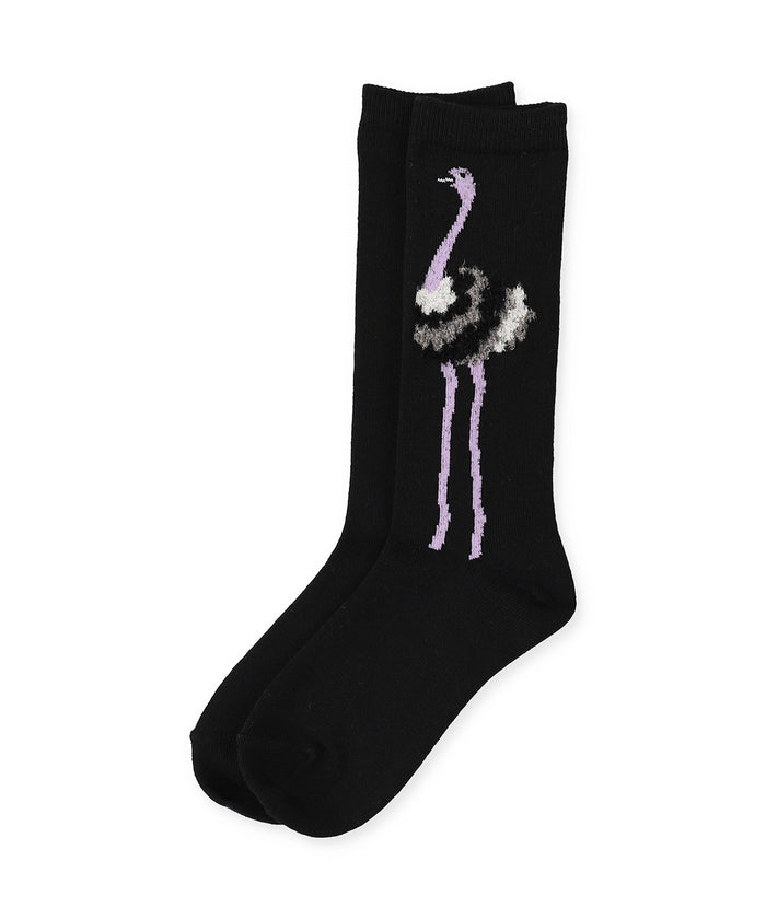 ELEY KISHIMOTO and FITH Ostrich Socks