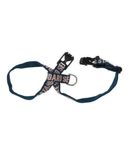 Harness