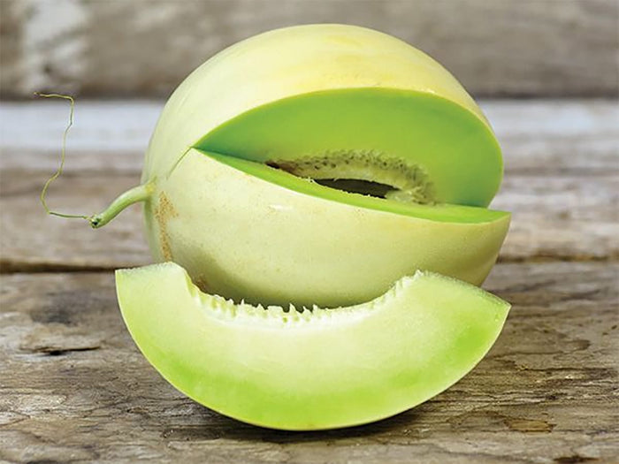 MELON 'Green Flesh Honeydew'