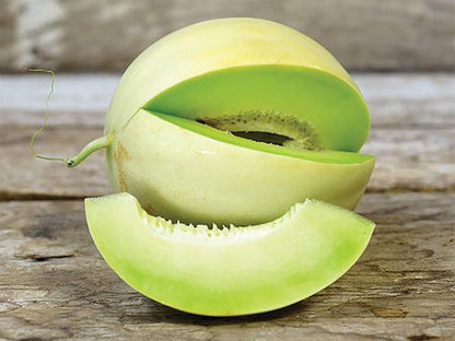 MELON 'Green Flesh Honeydew'
