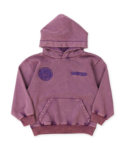 PURPLE / 100