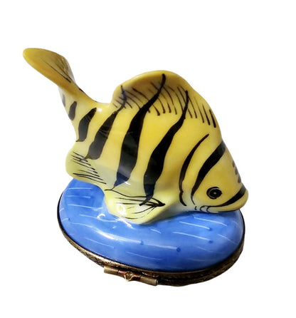 Yellow Striped Fish Limoges Box Porcelain Limoges Ocean beach fish French Trinket Box